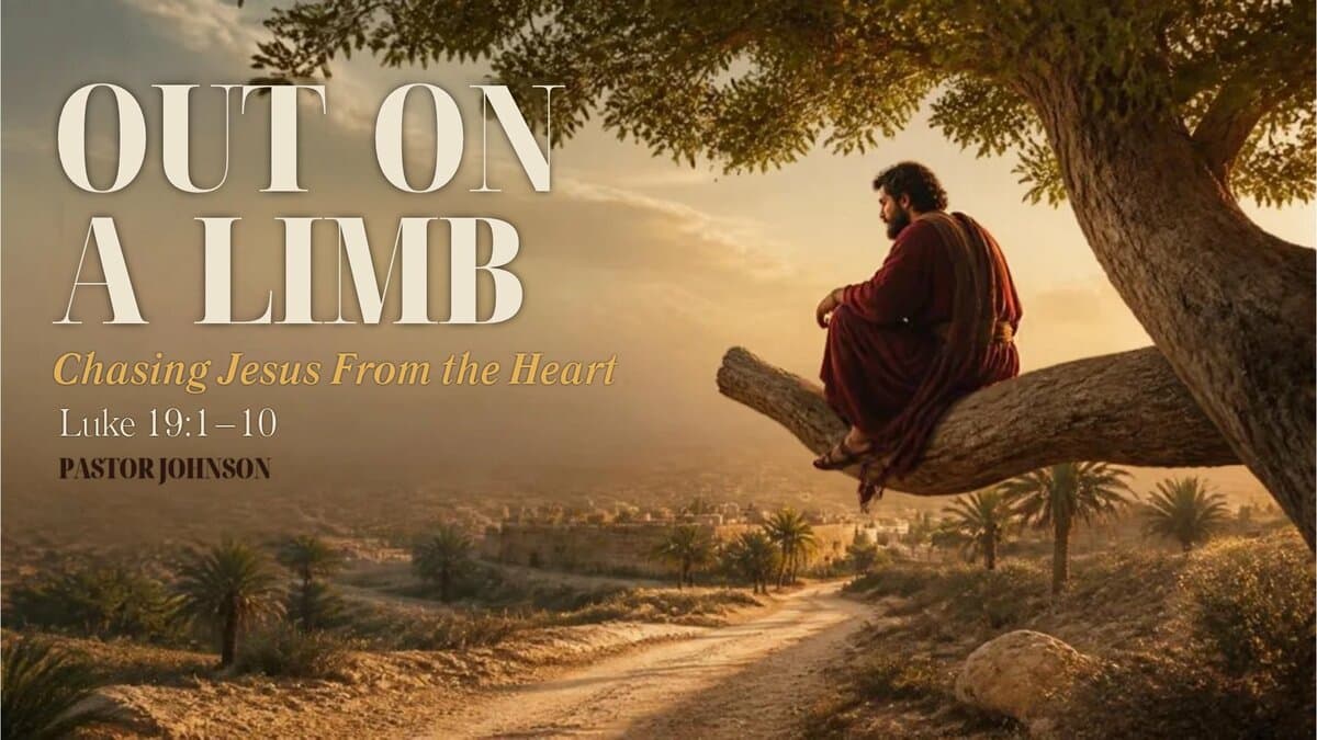 Out on a Limb: What the Story of Zacchaeus Teaches Us About How God Sees You