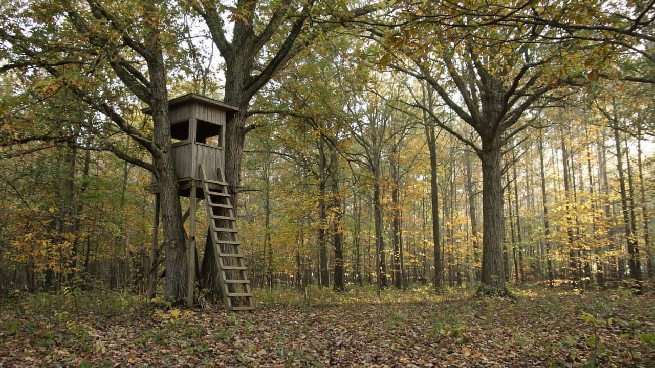 Wooden deer stand in an autumn woods
